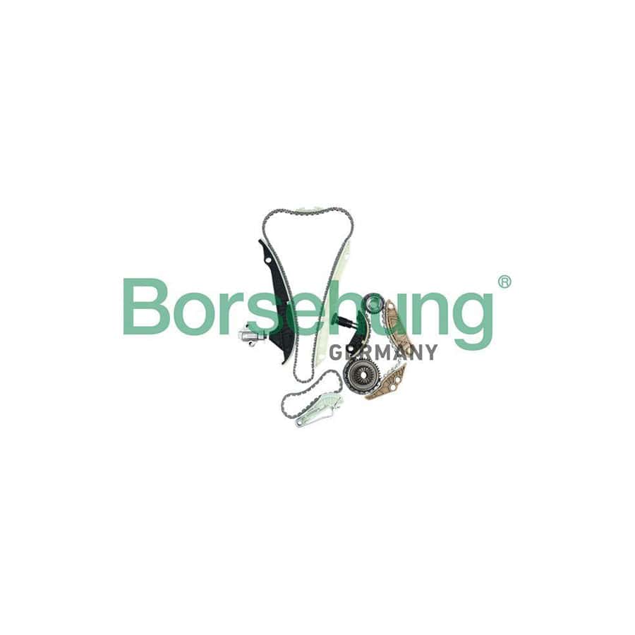 Borsehung B16298 Timing Chain Kit