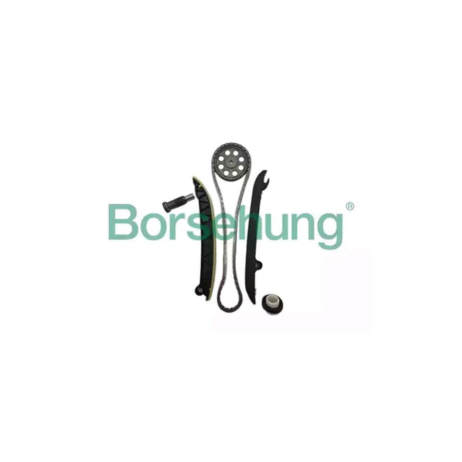 Borsehung B16297 Timing Chain Kit