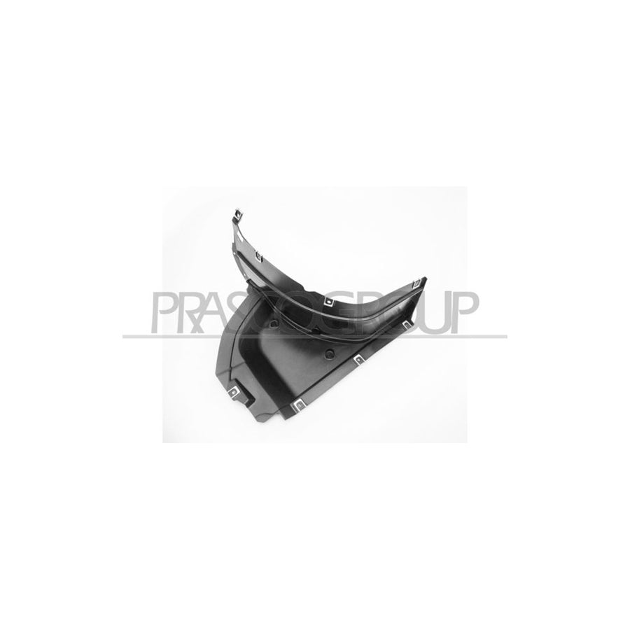 Prasco AD8123613 Panelling, Mudguard for AUDI Q3 (8UB, 8UG) | ML Performance UK Car Parts