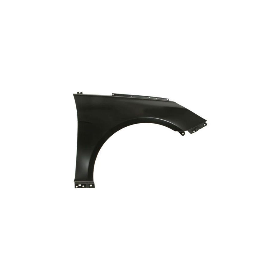 Blic 6504-04-3170312P Wing Fender For Hyundai Sonata Vi (Yf)