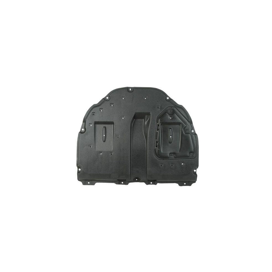 Blic 6601-02-8141876P Engine Cover