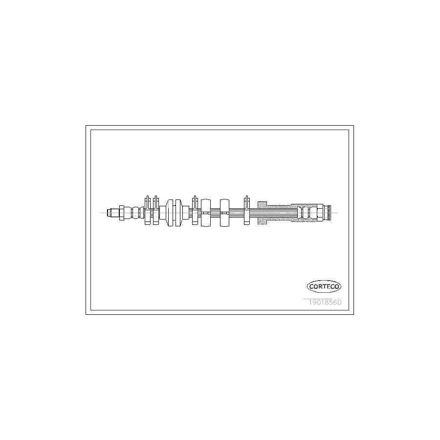 Corteco 19018560 Brake Hose | ML Performance UK