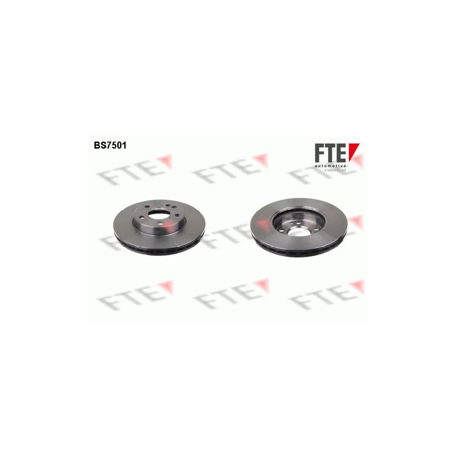 Fte 9072523 Brake Disc | ML Performance UK Car Parts