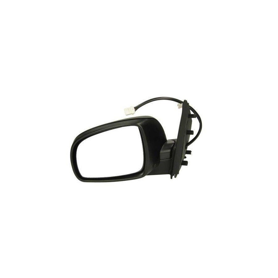 Blic 5402-16-039361P Wing Mirror