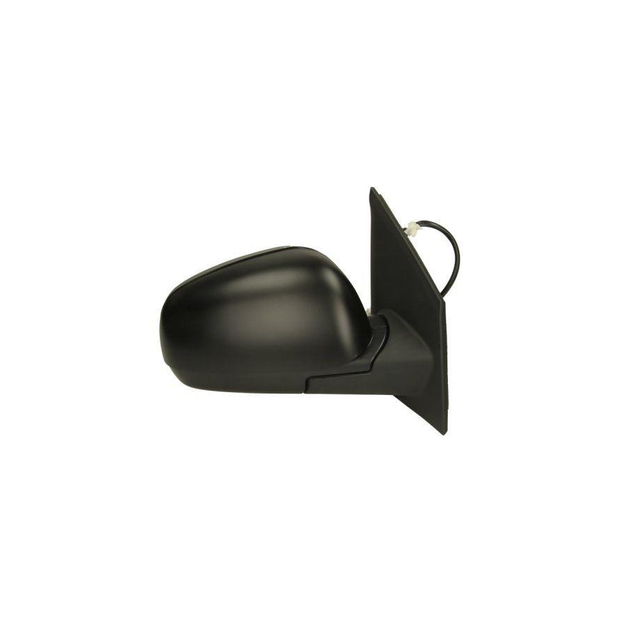 Blic 5402-16-039360P Wing Mirror