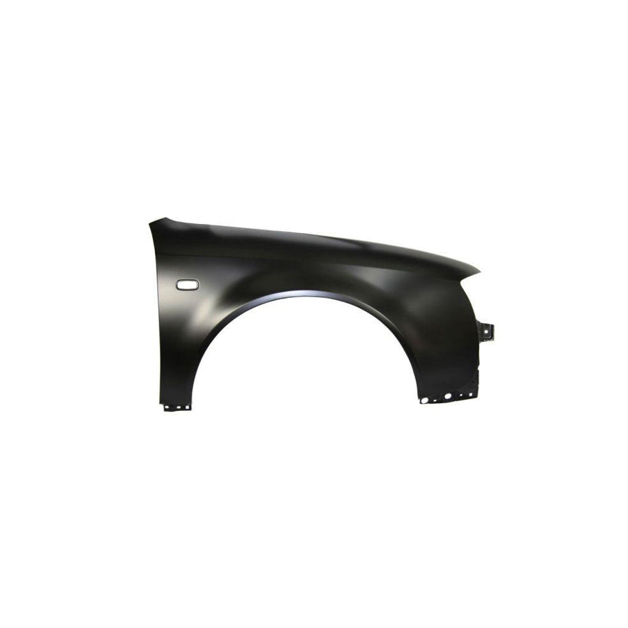 Blic 6504-04-0014314P Wing Fender