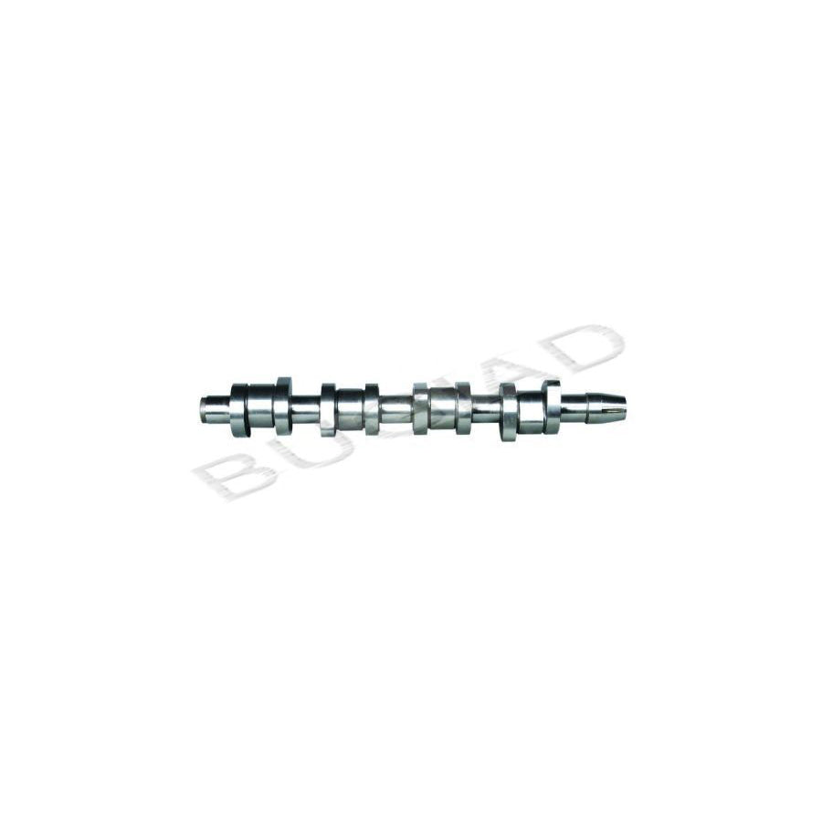 Bugiad BSP22541 Camshaft