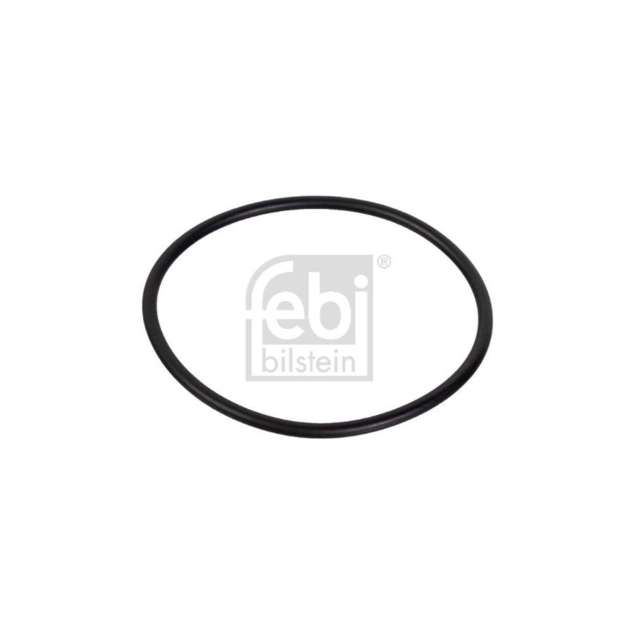 Febi Bilstein 25304 Guides, Timing Chain