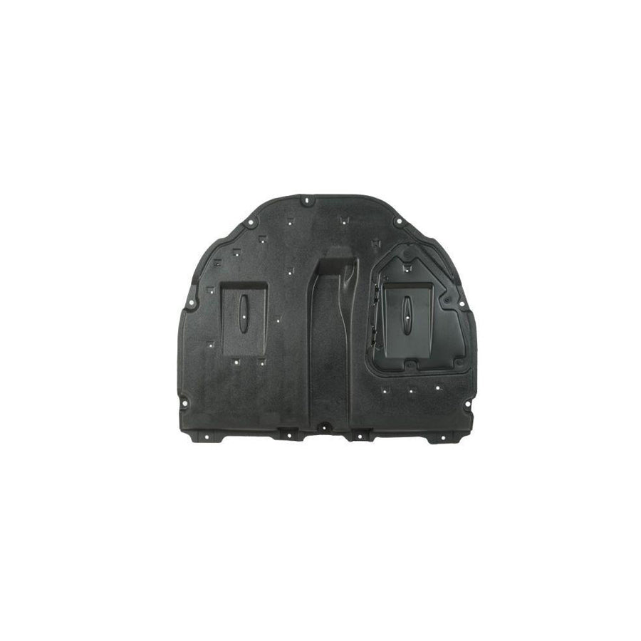 Blic 6601-02-8141874P Engine Cover