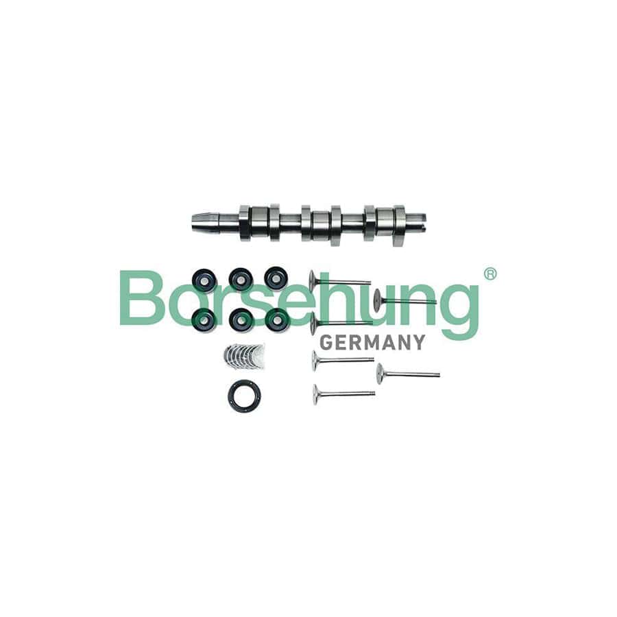 Borsehung B17130 Repair Kit, Intermediate Shaft