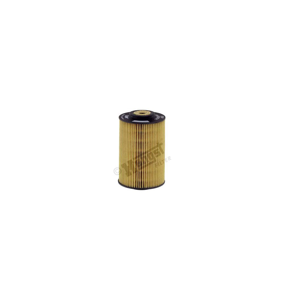 Hengst Filter E5Kp D12 Fuel Filter