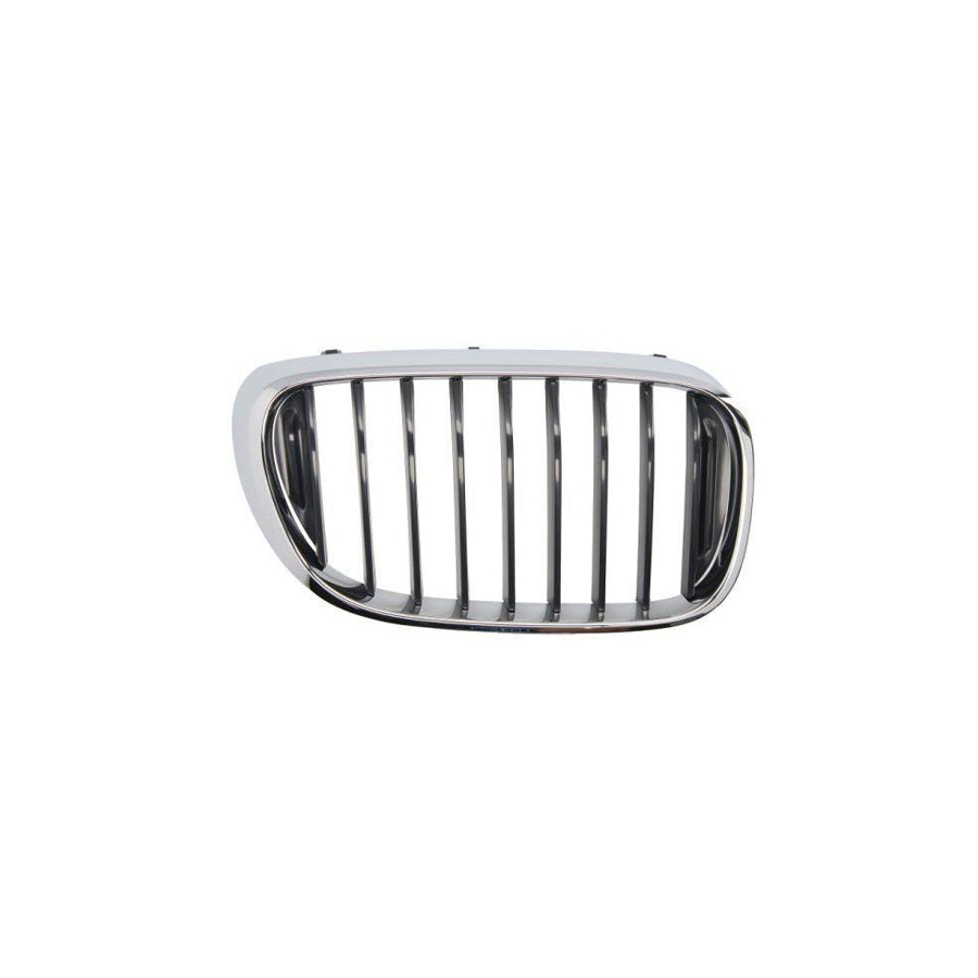 Blic 6502-07-0078992P Radiator Grille For BMW 7 (G11, G12)