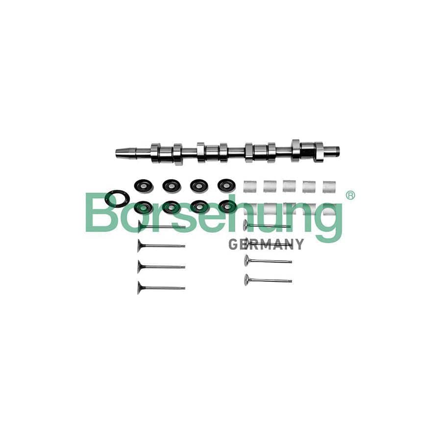 Borsehung B17129 Repair Kit, Intermediate Shaft