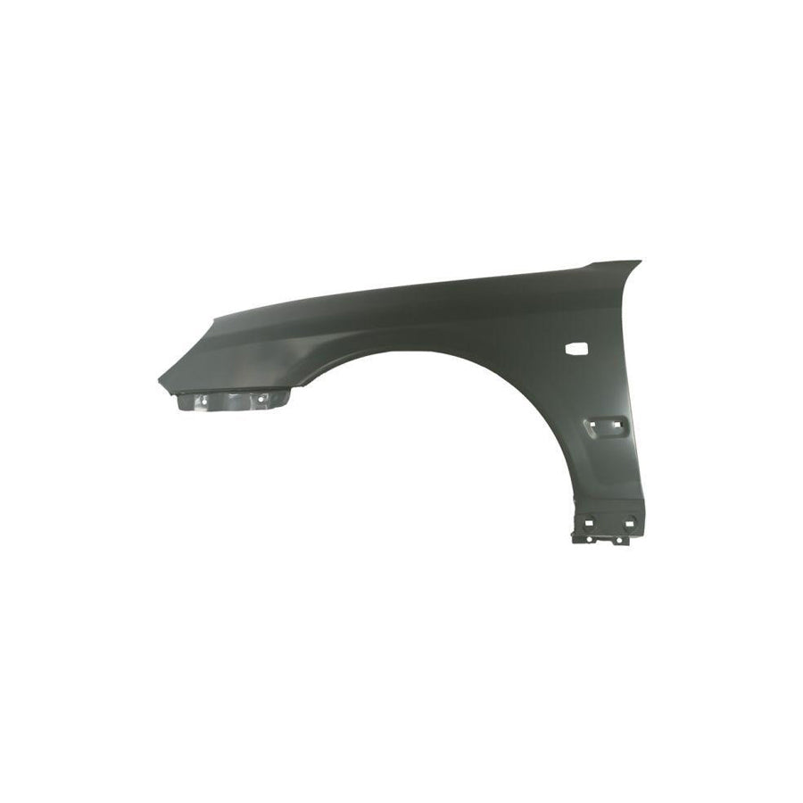 Blic 6504-04-3168311P Wing Fender For Hyundai Sonata IV (Ef)