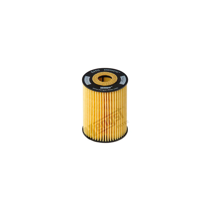 Hengst Filter E69H D81 Oil Filter