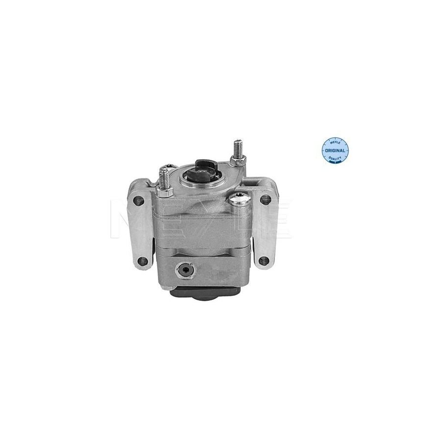 Meyle 314 631 0021 Power Steering Pump For BMW 3 Series