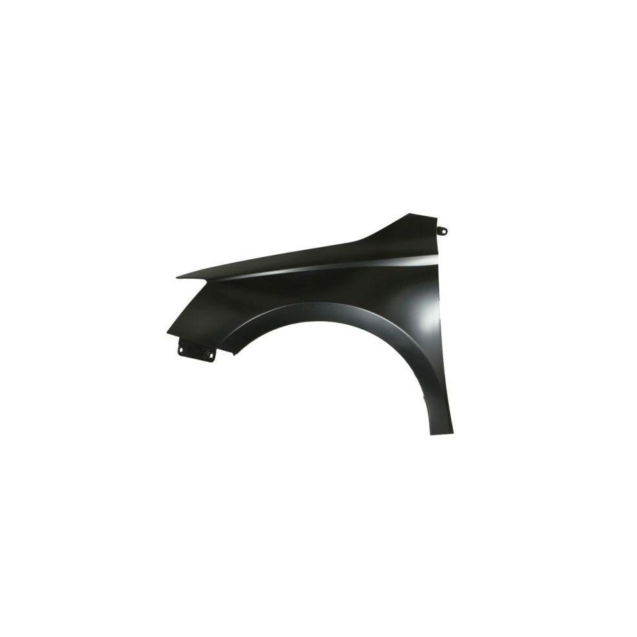 Blic 6504-04-7517311Q Wing Fender For Skoda Fabia