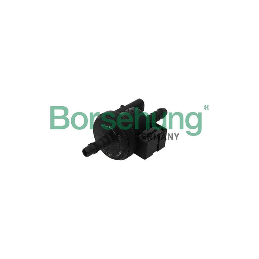 Borsehung B16933 Valve, Activated Carbon Filter