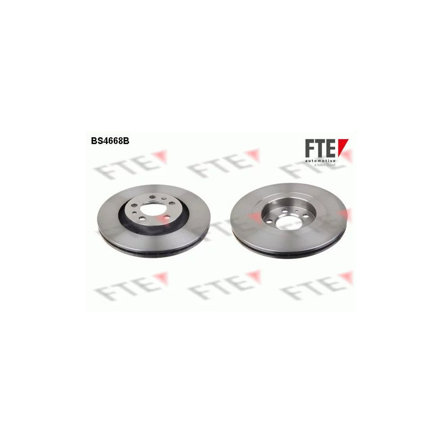 Fte BS4668B Brake Disc | ML Performance UK Car Parts