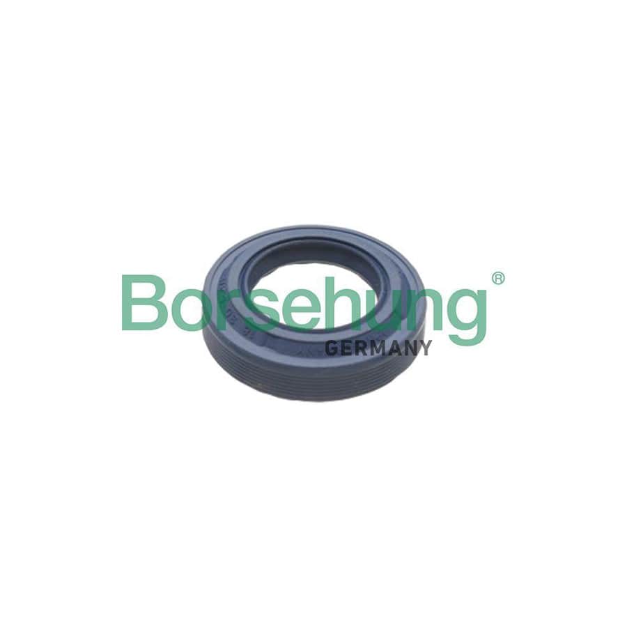 Borsehung B17828 Shaft Seal, Differential