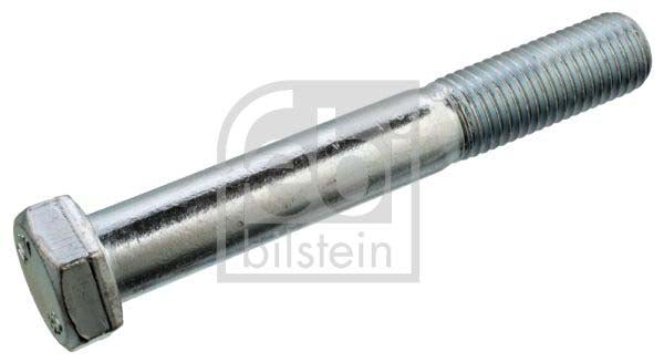 Febi Bilstein 11670 Screw | ML Performance UK Car Parts