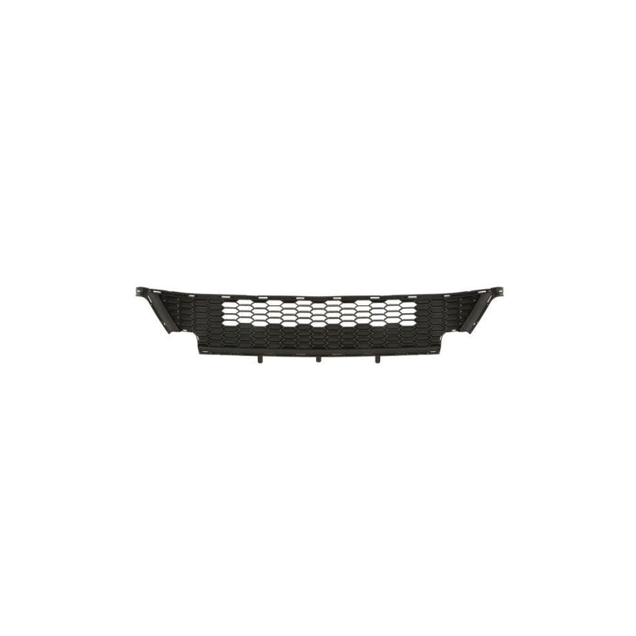 Blic 6502-07-2596990P Radiator Grille