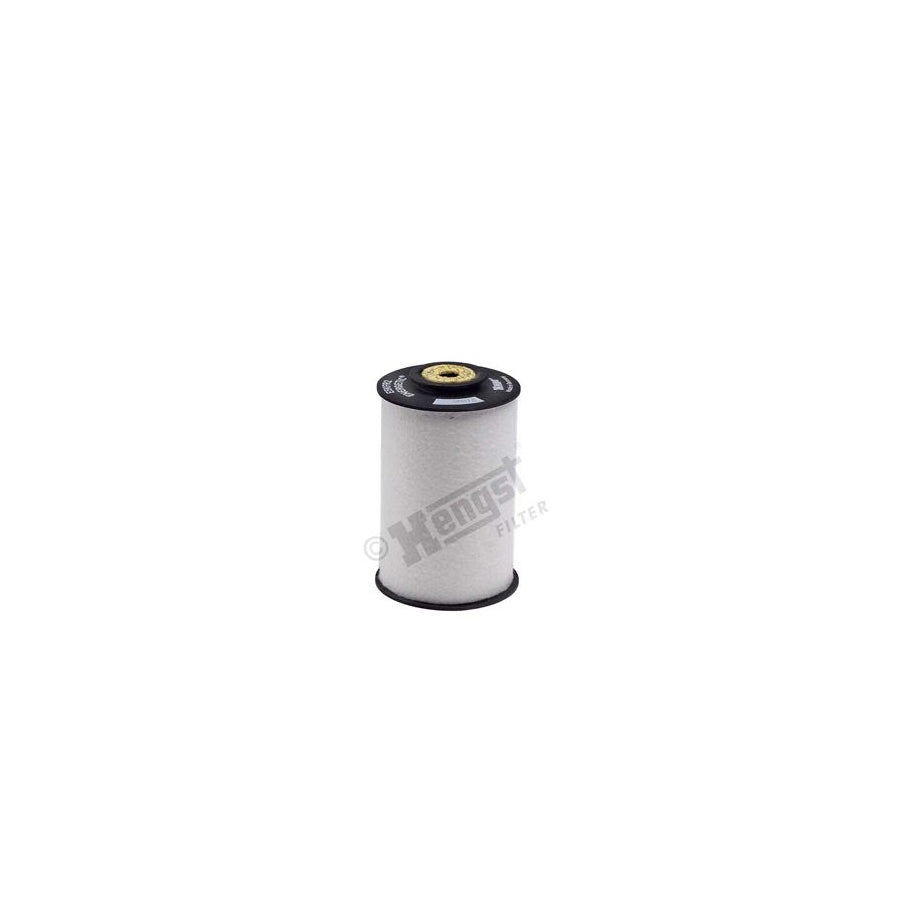 Hengst Filter E5Kfr2 D12 Fuel Filter