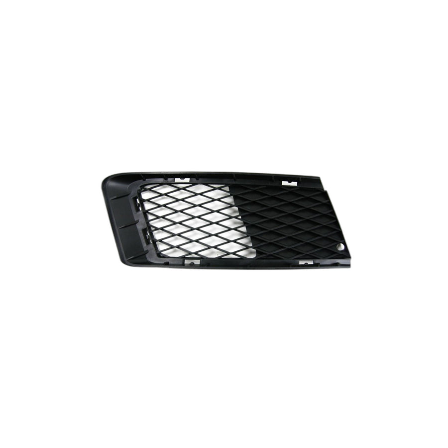 Genuine BMW 51117154720 E92 E93 Partially Open Grid, Right SCHWARZ (Inc. 328xi, 320xd & 325d)