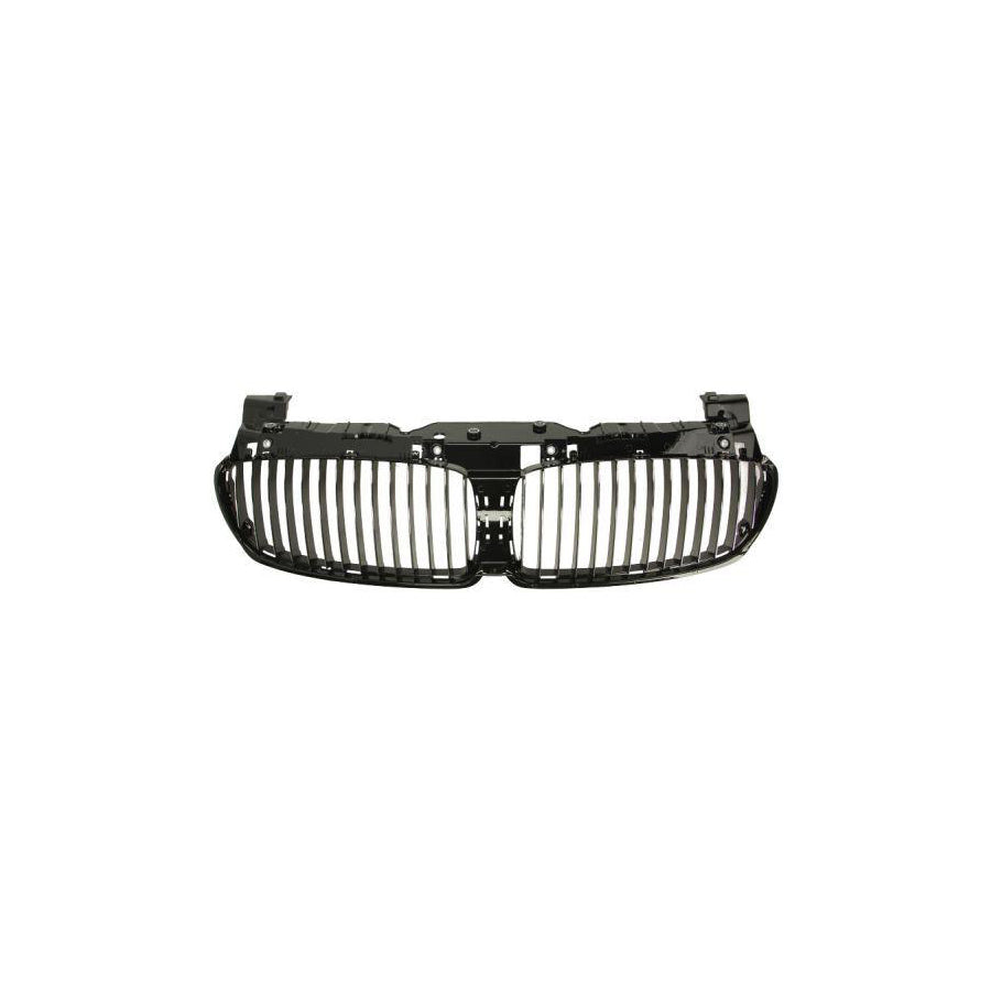 Blic 6502-07-0076992P Radiator Grille For BMW 7 (E65, E66, E67)