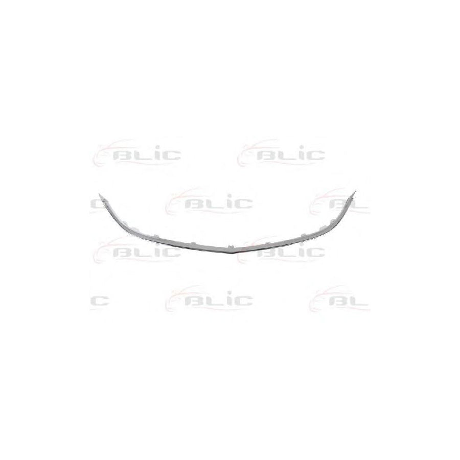 Blic 6502-07-5053992P Trim / Protective Strip, Radiator Grille For Opel Astra