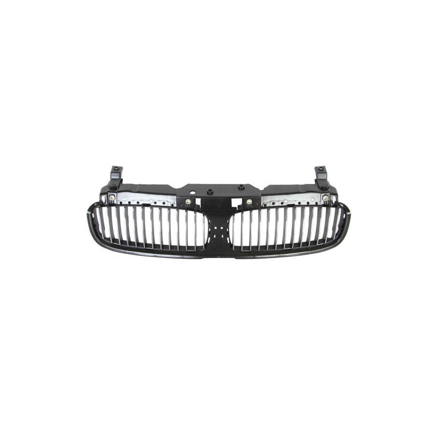 Blic 6502-07-0076991P Radiator Grille For BMW 7 (E65, E66, E67)