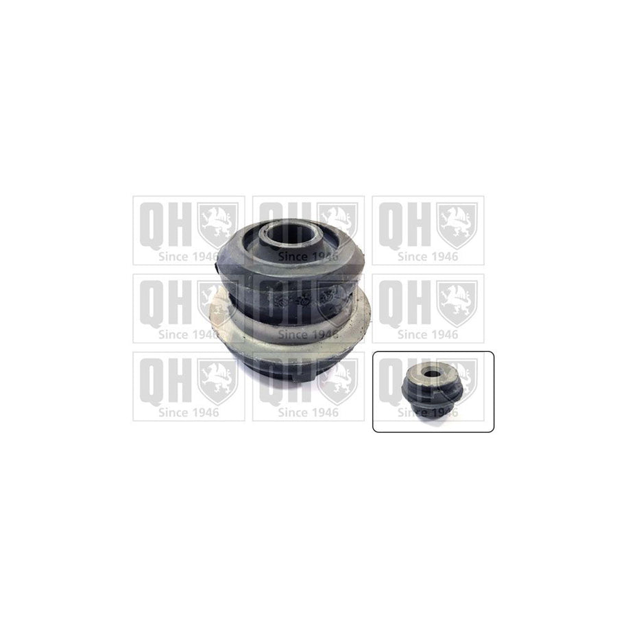 Quinton Hazell EMS8115 Control Arm / Trailing Arm Bush Suitable For MercedesBenz 190 (W201) | ML Performance UK Car Parts