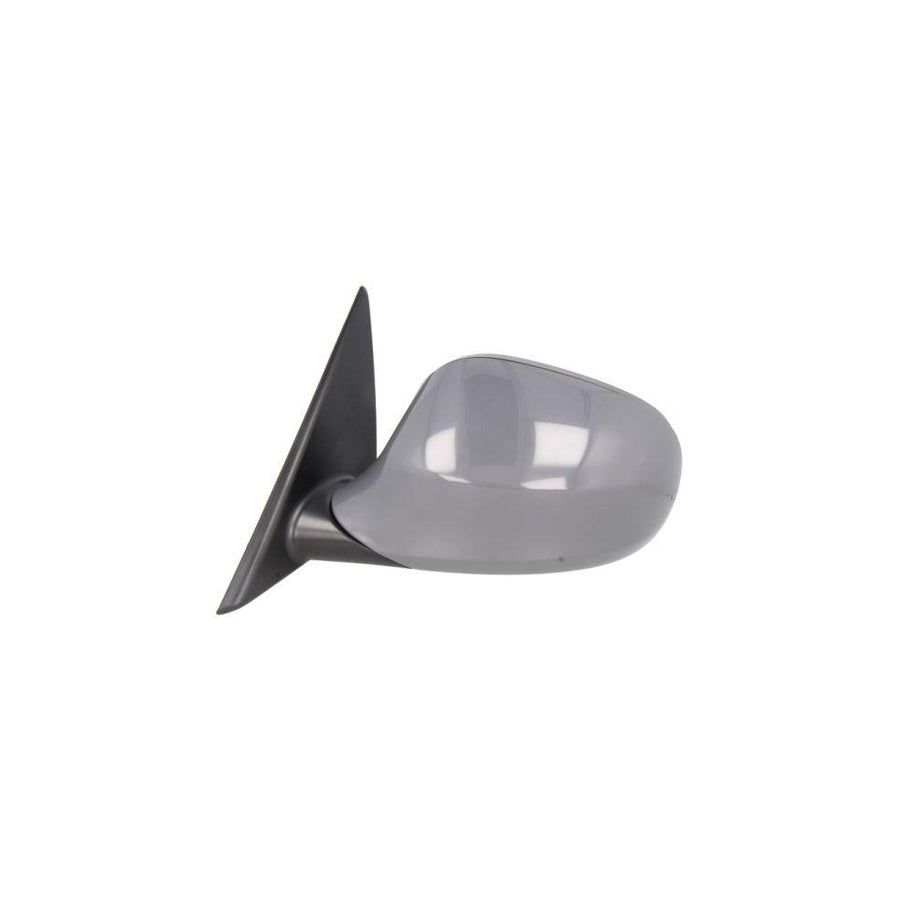 Blic 5402-16-2001865P Wing Mirror