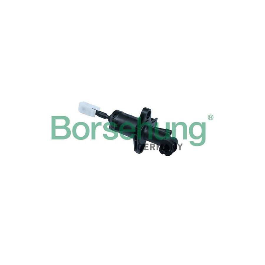 Borsehung B17872 Master Cylinder, Clutch