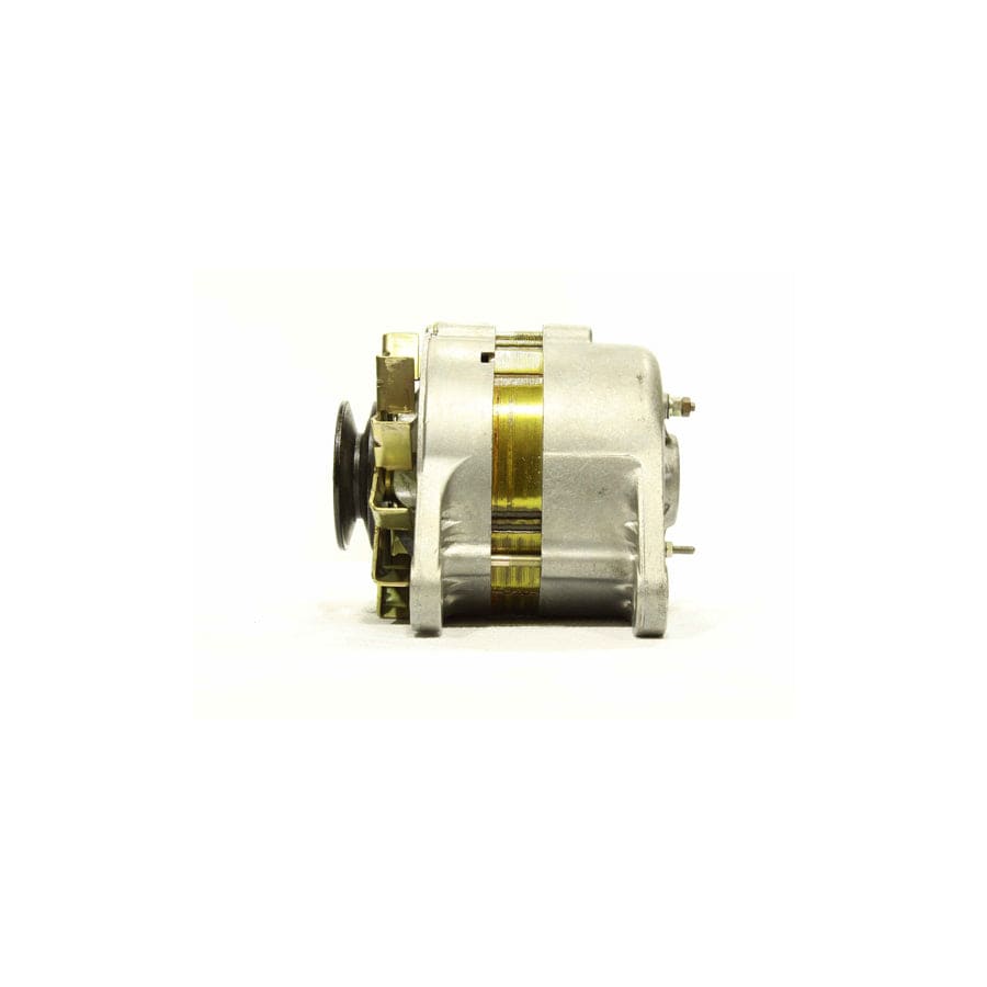 Alanko 10441366 Alternator | ML Performance UK