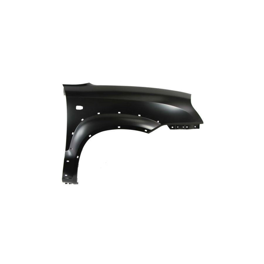 Blic 6504-04-3175316P Wing Fender For Hyundai Tucson (Jm)