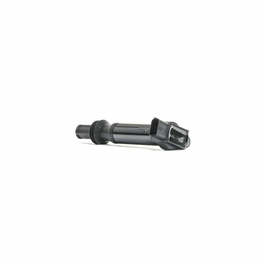 Delphi Gn10584-12B1 Ignition Coil