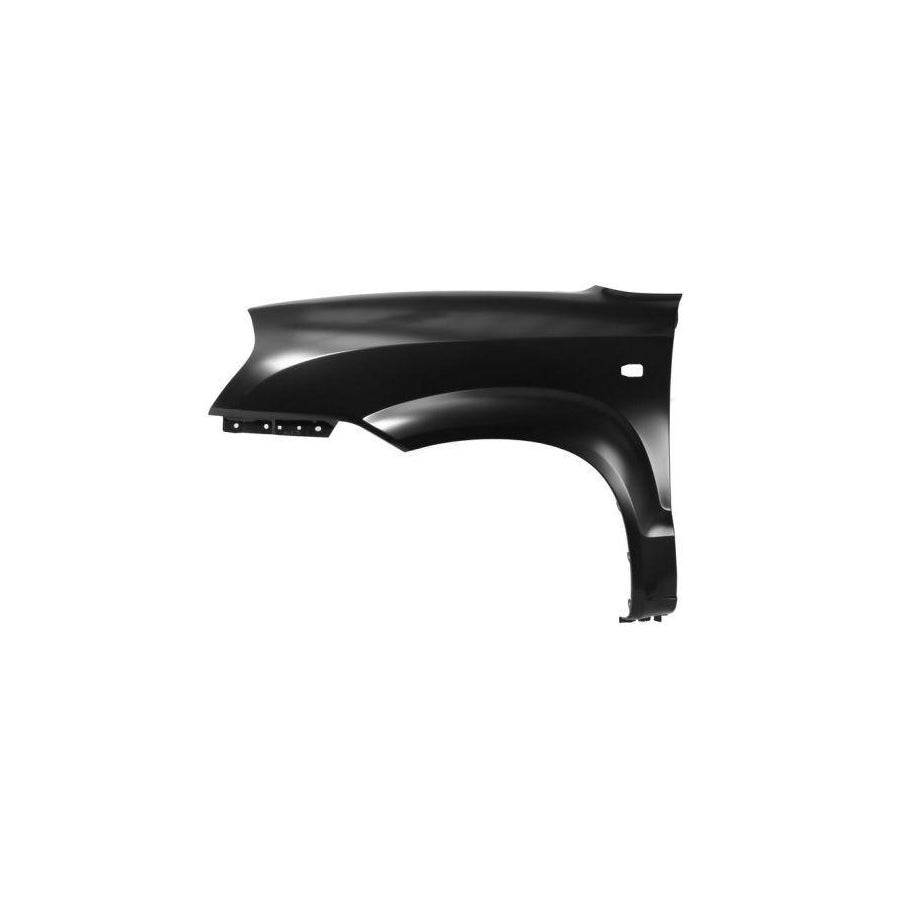 Blic 6504-04-3175311P Wing Fender For Hyundai Tucson (Jm)