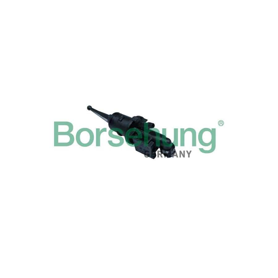 Borsehung B17868 Master Cylinder, Clutch For Vw Passat