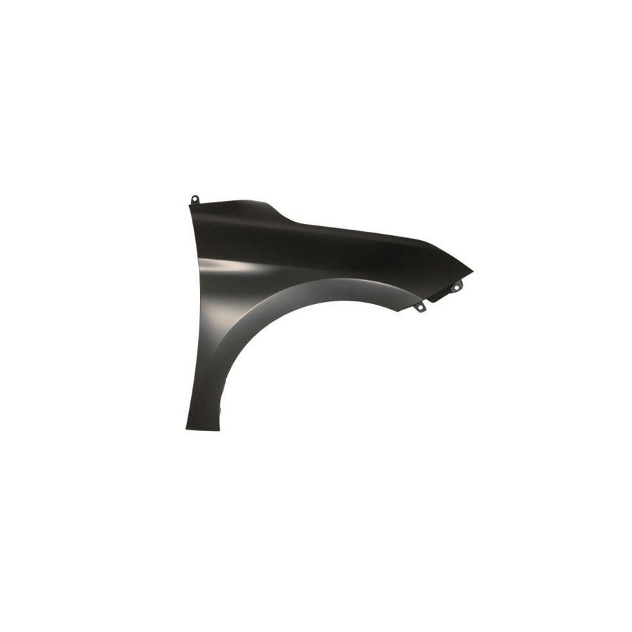 Blic 6504-04-3173312P Wing Fender