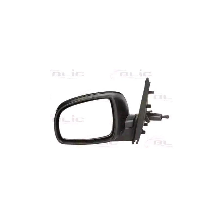 Blic 5402-16-039365P Wing Mirror