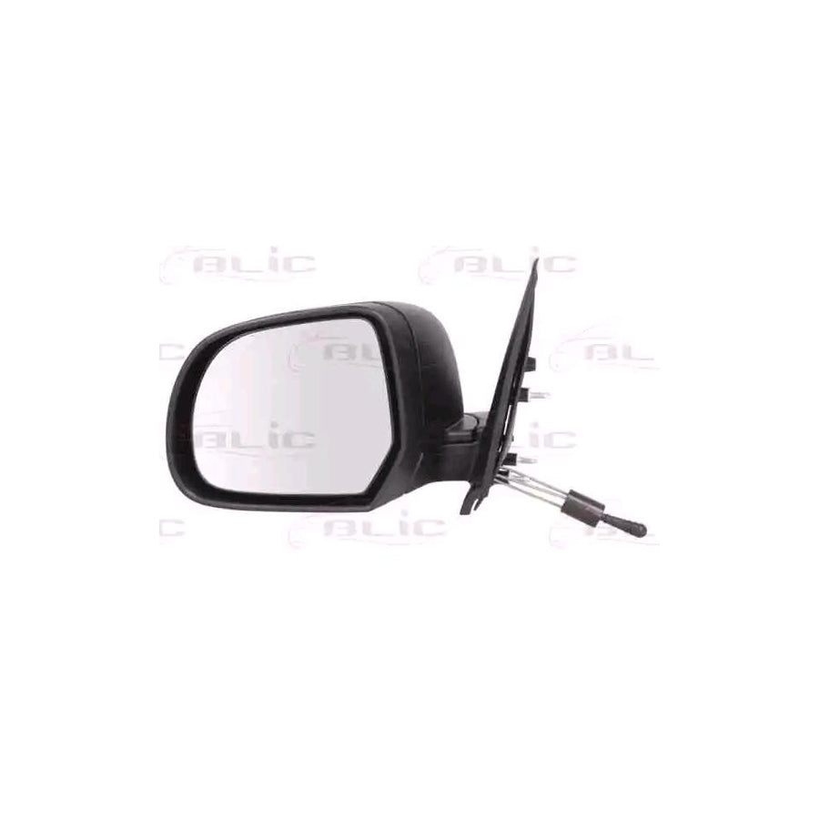 Blic 5402-16-2001905P Wing Mirror For Nissan Micra IV Hatchback (K13)