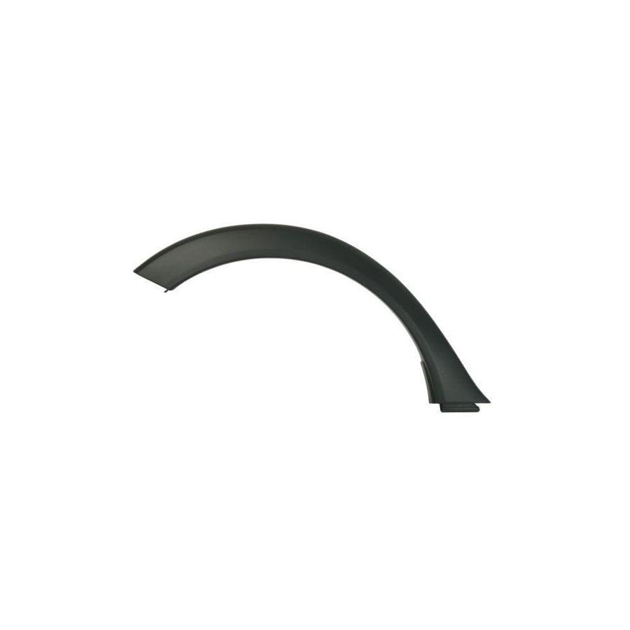 Blic 5703-06-6737572P Trim / Protective Strip, Mudguard