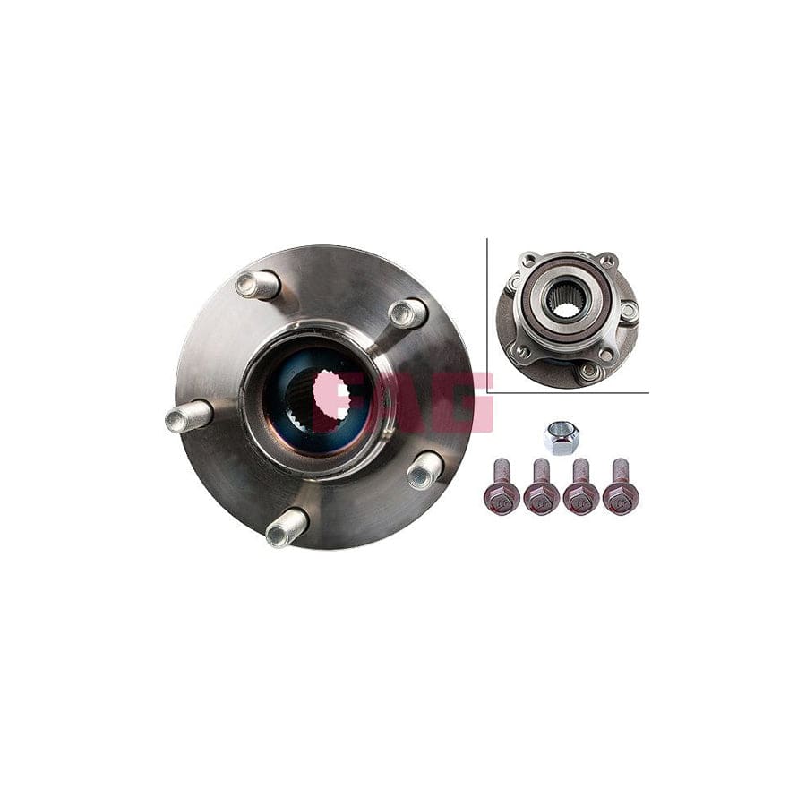 FAG 713 6198 20 Wheel Bearing Kit