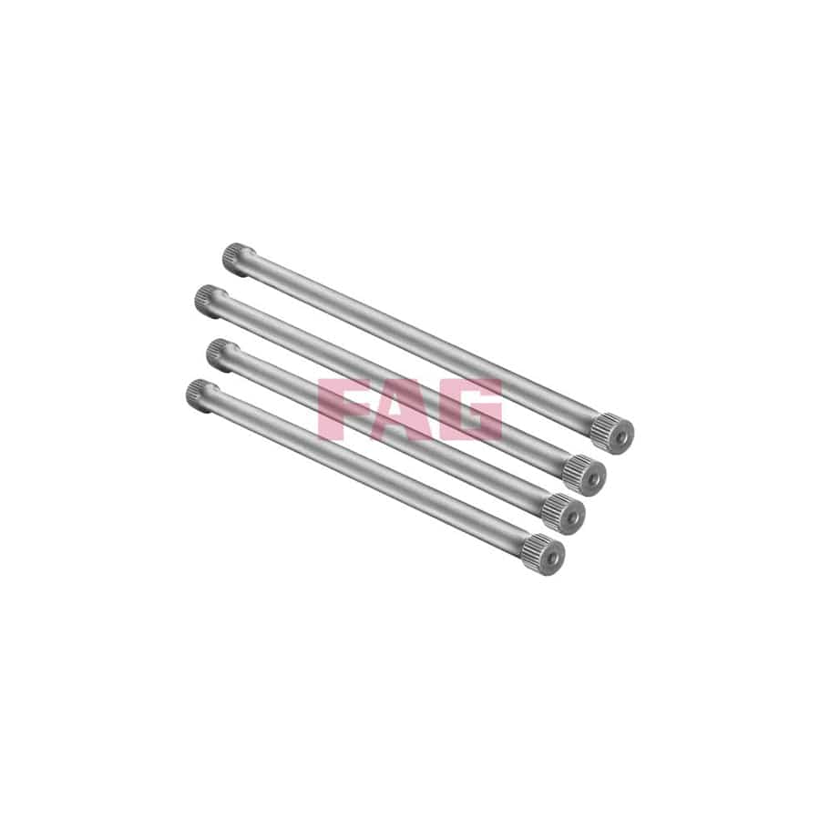 FAG 813 0001 30 Suspension Kit, Coil Springs