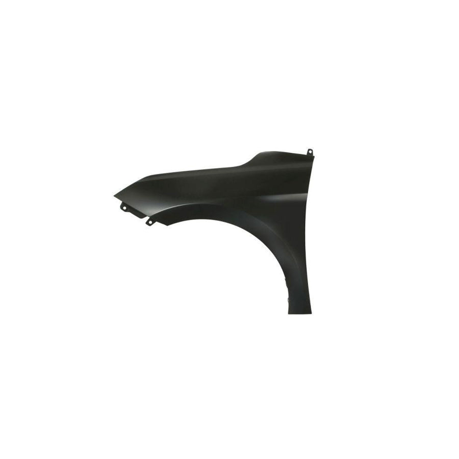 Blic 6504-04-3173311P Wing Fender