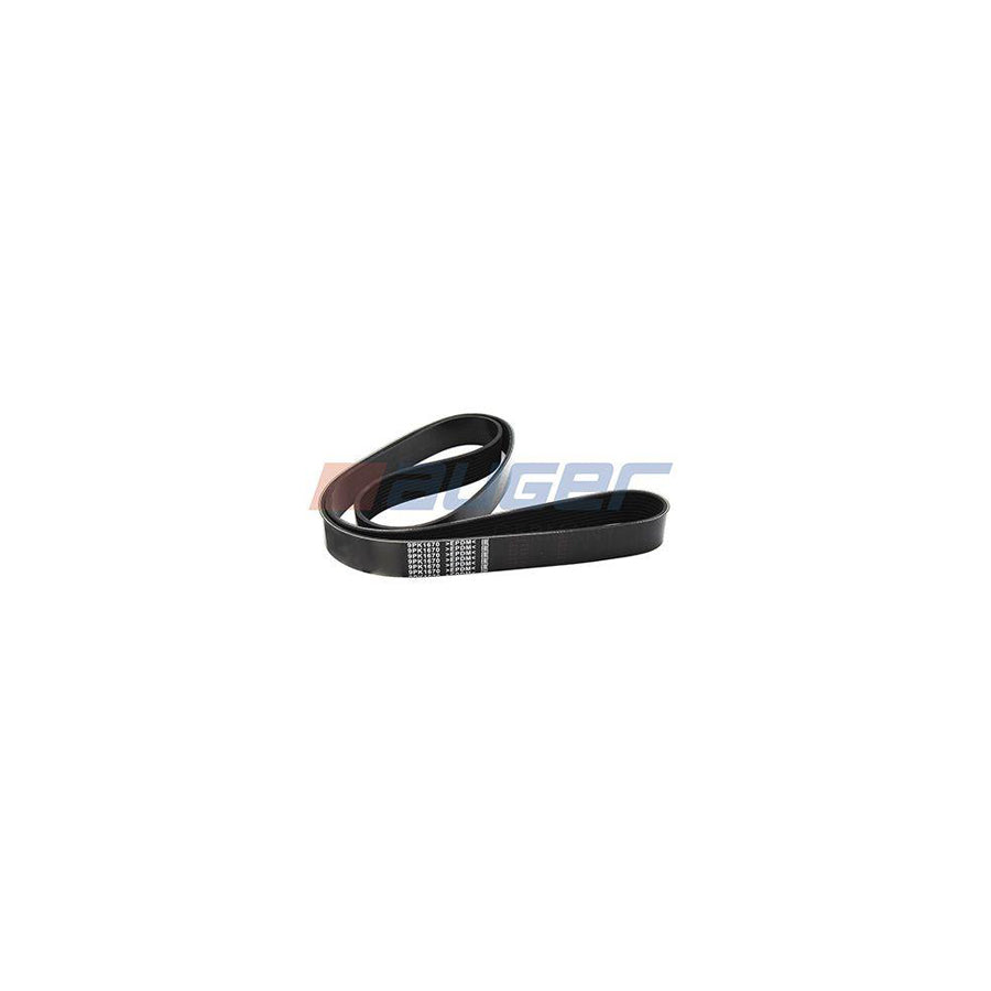 Auger 80155 V-Ribbed Belt