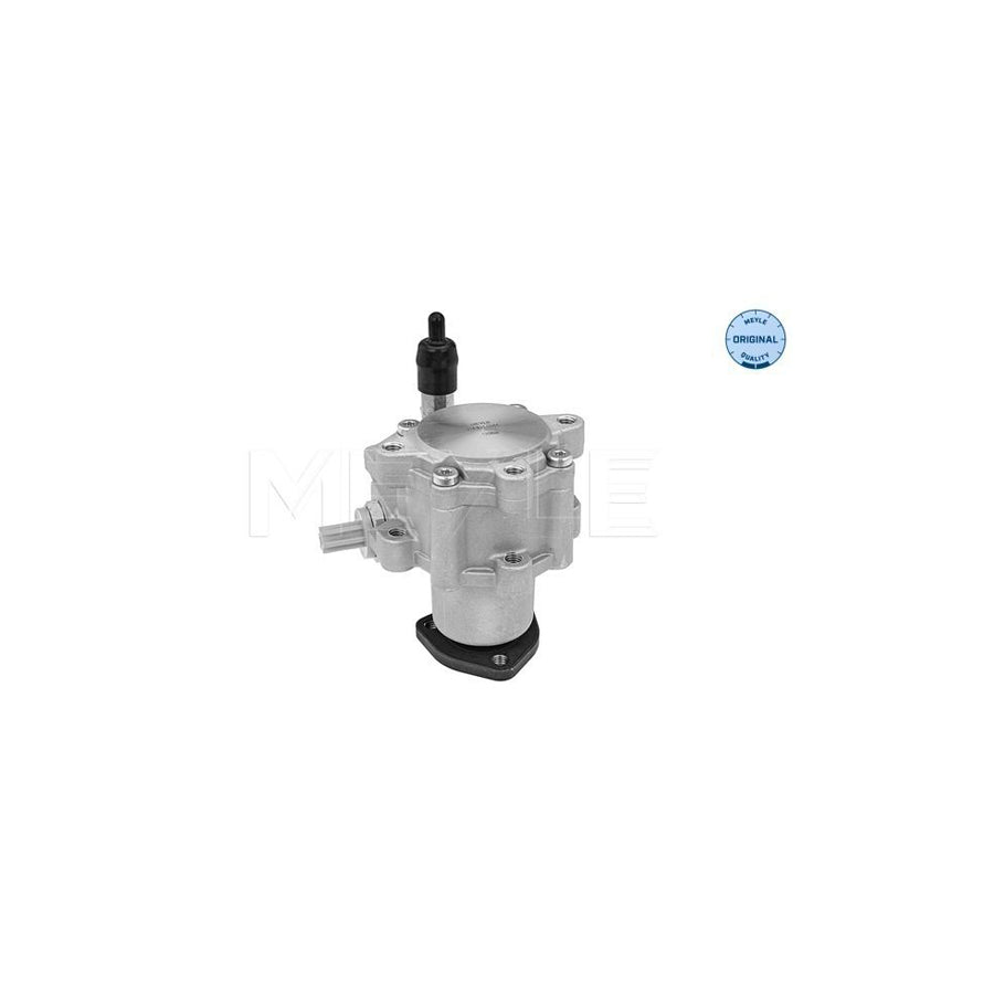 Meyle 314 631 0044 Power Steering Pump For BMW 3 Series