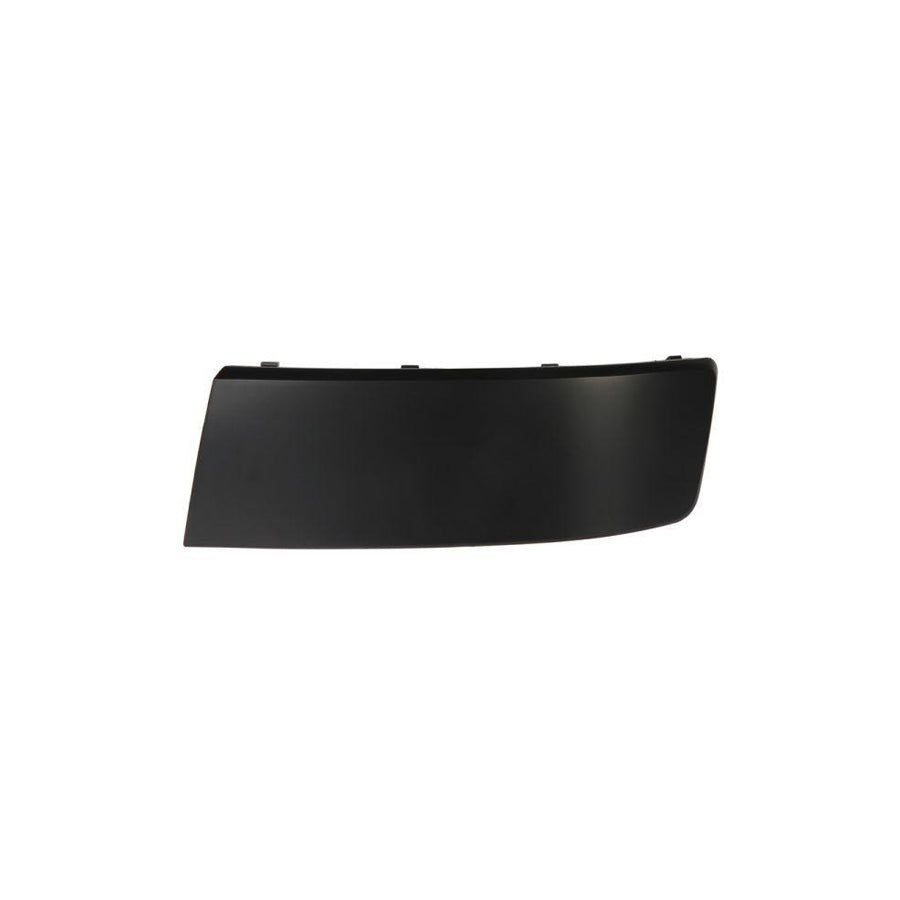 Blic 5510-00-9568925Pp Bumper Moulding