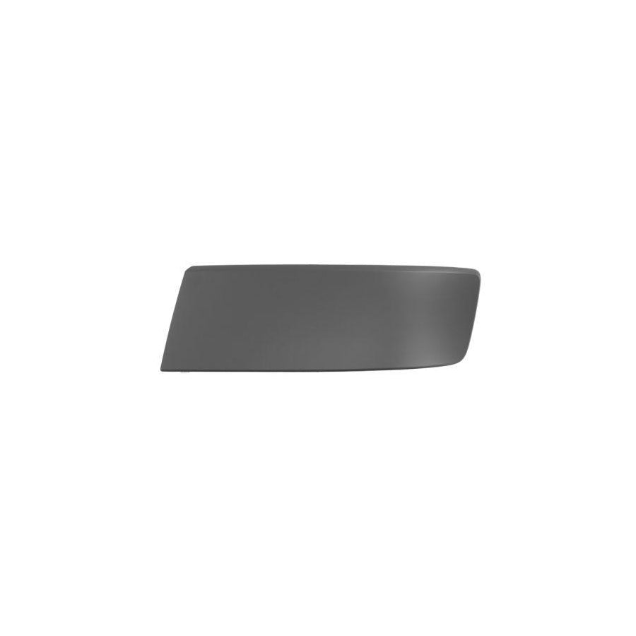 Blic 5510-00-9568925P Bumper Moulding